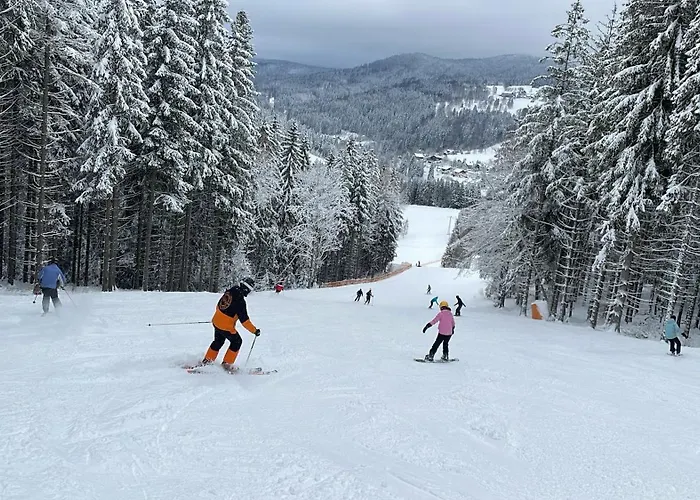 V Chalupe U Tri Srnek Apartament