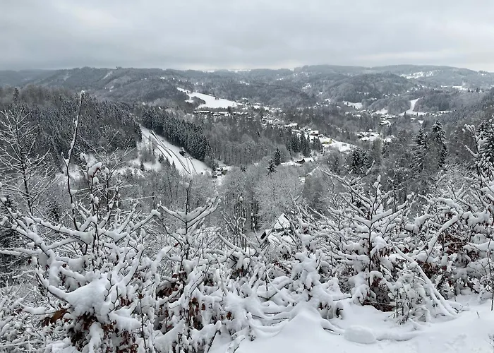 V Chalupe U Tri Srnek Apartament Albrechtice w Górach Izerskich